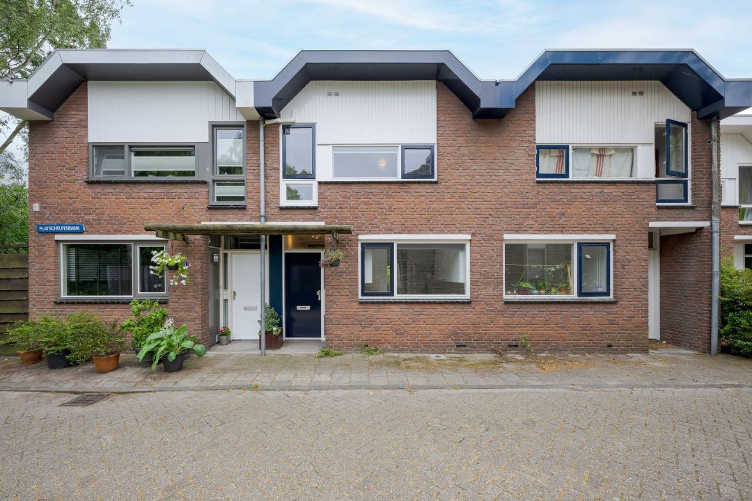 Platschelpenbank 2 Leiden