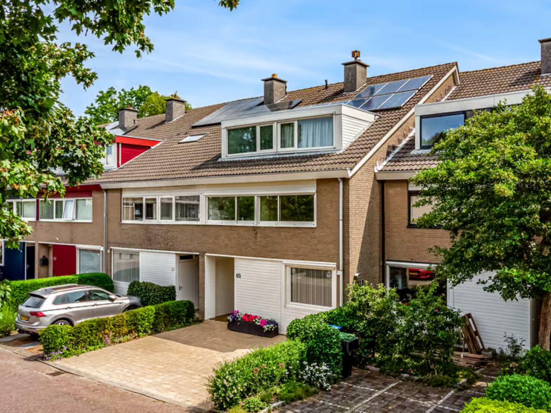 Heivlinder 65 Leiden